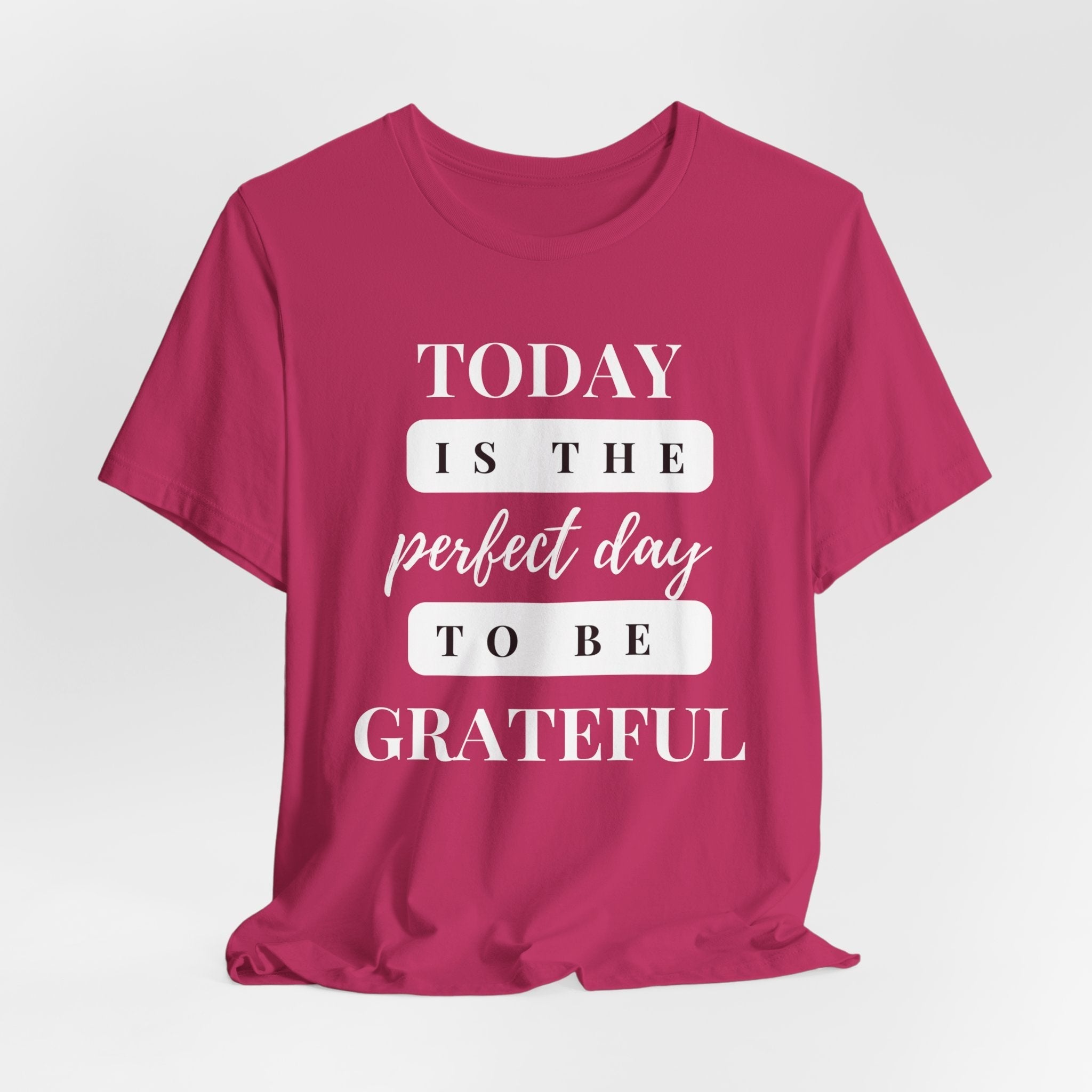 Perfect Day to be Grateful Inspirational Christian T-Shirt